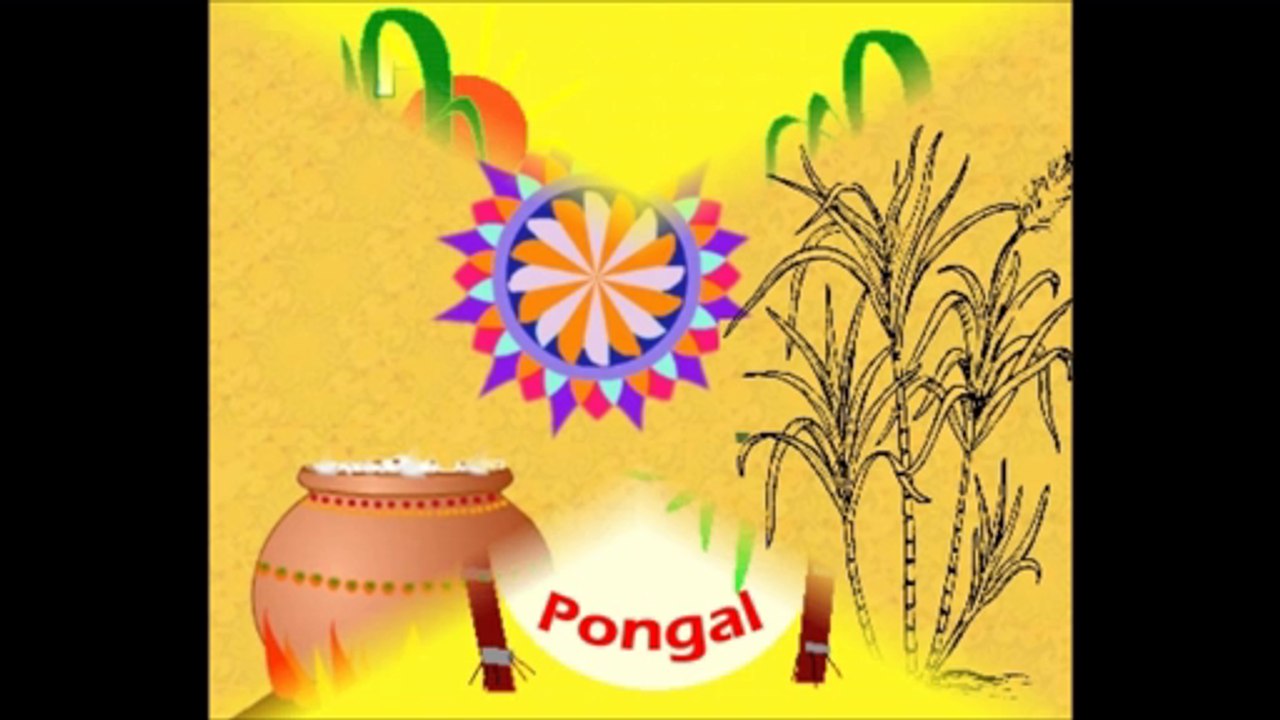 Pongal Card/Greetings/Images/Wishes/photo/ecard பொங்கல் அட்டைகள்