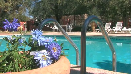 Tucson RV Parks Resorts Of Distinction