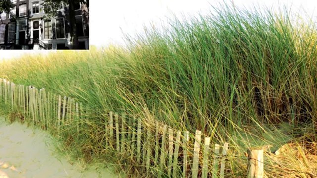 Bin Parys wallpapers