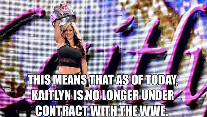 BREAKING NEWS Kaitlyn leaves WWE/The Blossom Twins Leave TNA and OVW (Hiatus) 2014