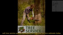 tree  removal,tree trimming, tree prunning