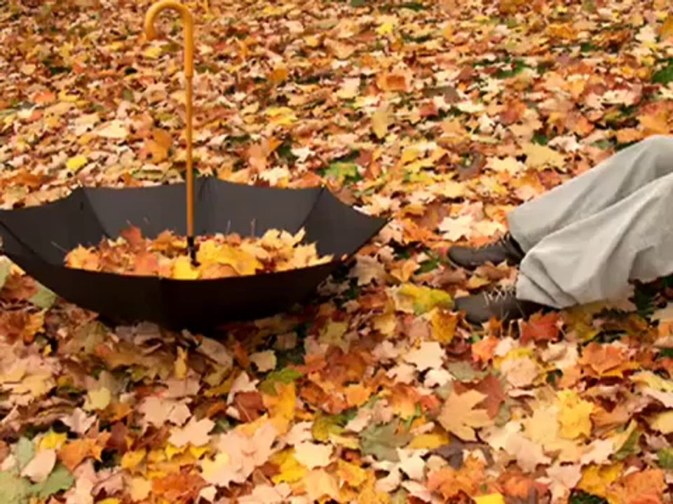 Mustafa YıLdızdoğan & Ahmet Emre Boran ~~ PayLaşamam www.seslisehir.com // www.seslisehir.com [ATİL_44]