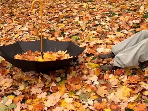 Mustafa YıLdızdoğan & Ahmet Emre Boran ~~ PayLaşamam seslisehir.com // seslisehir.com [ATİL_44]