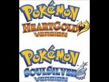 Pokemon Heartgold & SoulSilver - National Park