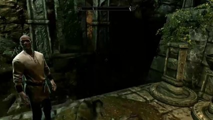 The Elder Scrolls V : Skyrim - Faux pas