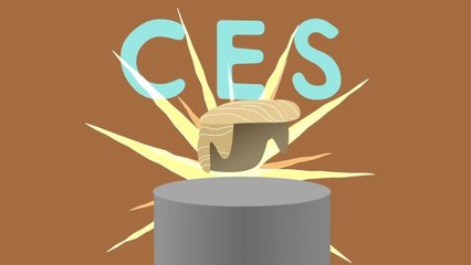 Vanity Code - How to Survive CES 2014 (And Monsanto's New Cloning Device)