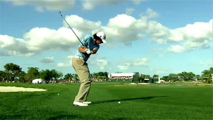 Tiger Woods PGA Tour 11 - Rory McIlroy