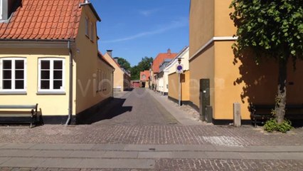 Phone Snapshot - After Effects Template