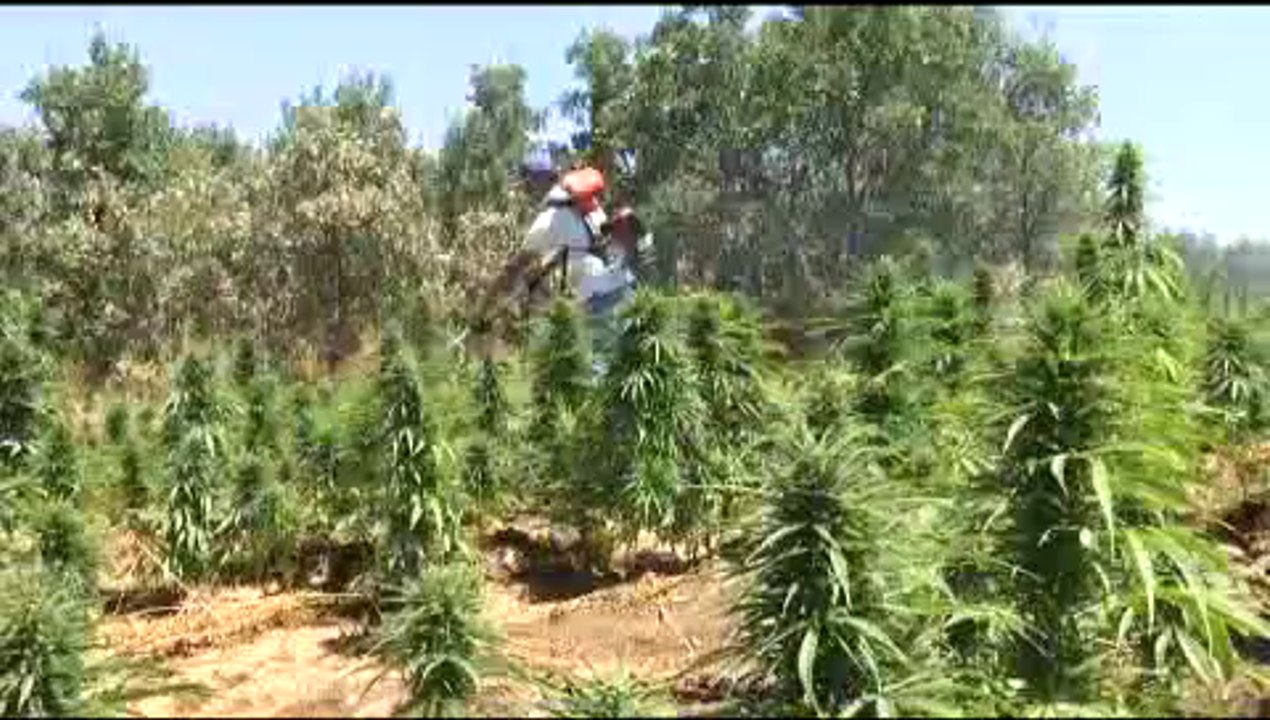 Uyuşturucuyla mücadelede rekor