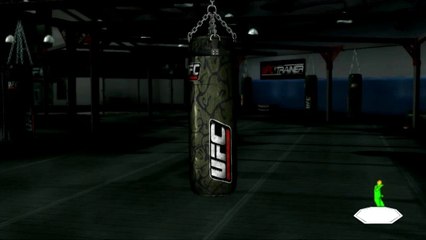 UFC Personal Trainer - Sac de frappe