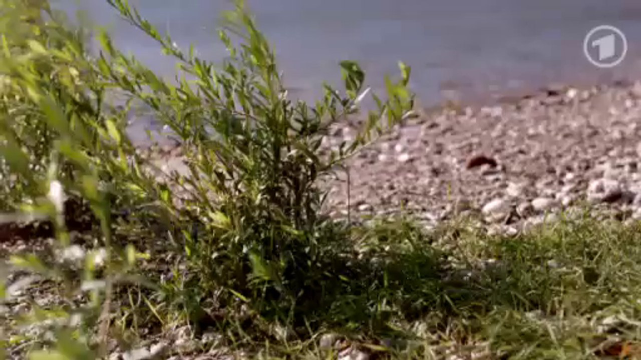 Verbotene Liebe : Folge 4429 II 06.01.2014