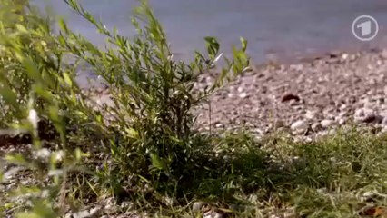 Verbotene Liebe : Folge 4429 II 06.01.2014