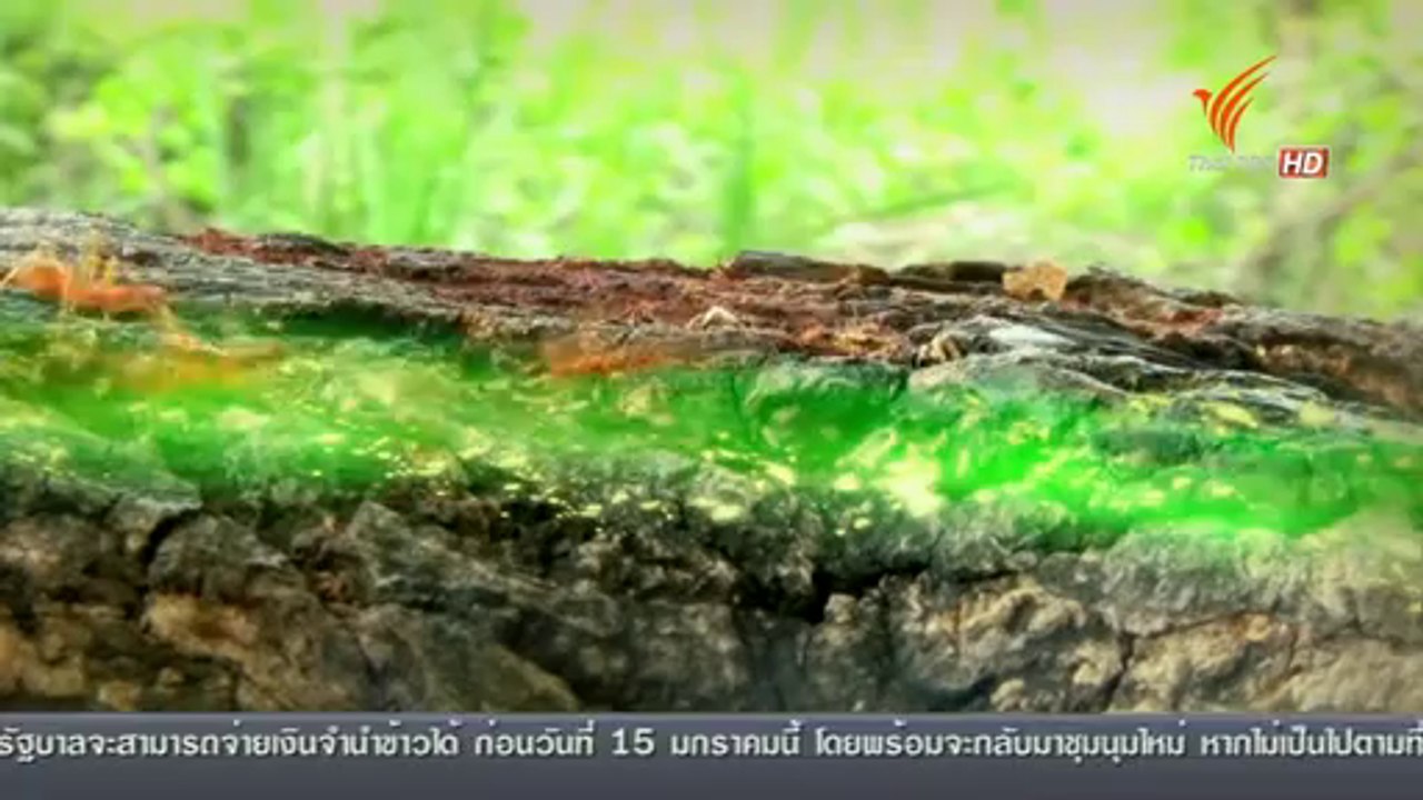 โลกที่มองไม่เห็น (ตอนที่ 2) 8Jan14
