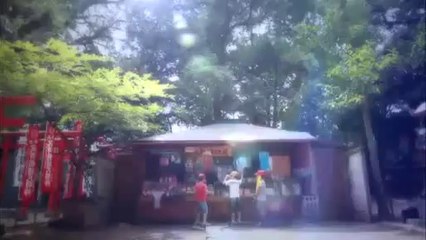 Sakura Note - Pub Japon