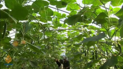 甲状腺のエコー検査を受ける福島の子供たち