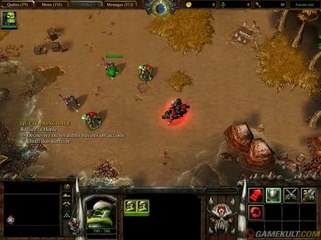 Warcraft III : Reign of Chaos - Sommes-nous à Kalimdor ?