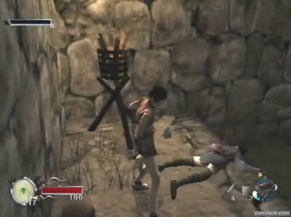 Tenchu : Fatal Shadows - Le suicide du ninja