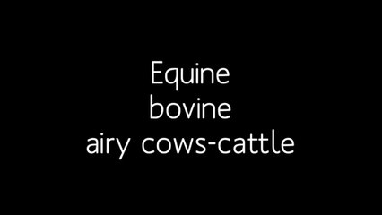 Veterinary Ultrasound Machines
