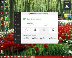 Avast registration to 2038