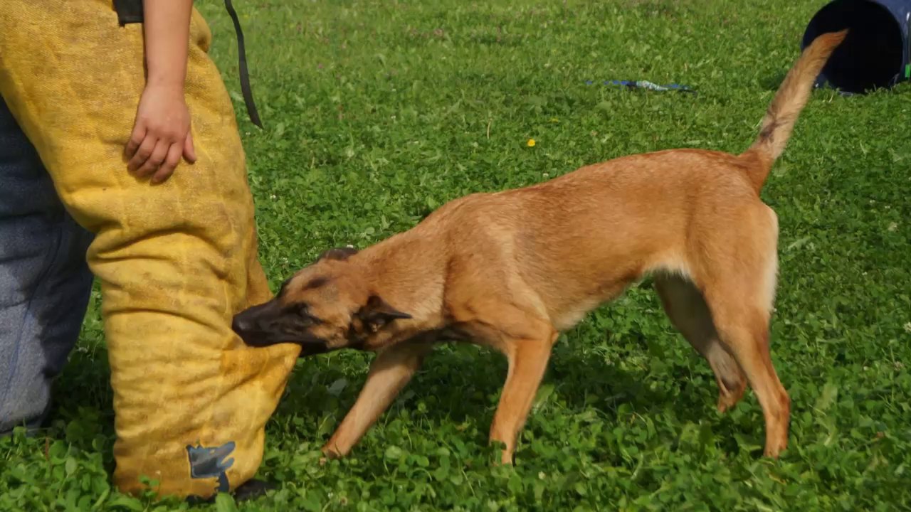 Be Aware C'Teufelchen @ Suit