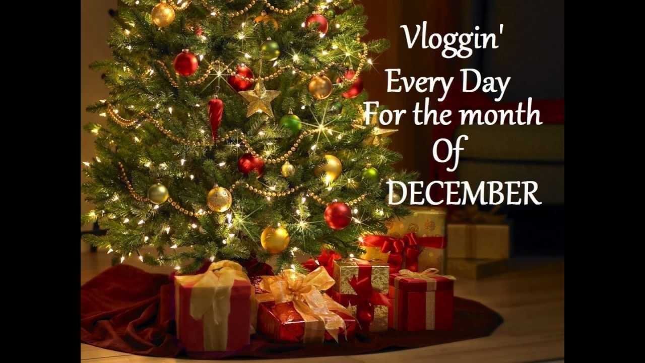 Vlogmas 2012: Day 8