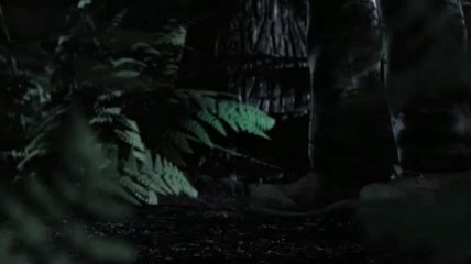 Cabela's Dangerous Hunts 2011 - Trailer de lancement US