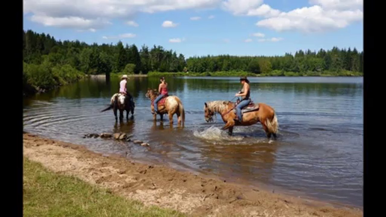 souvenirs 2013 en vrac