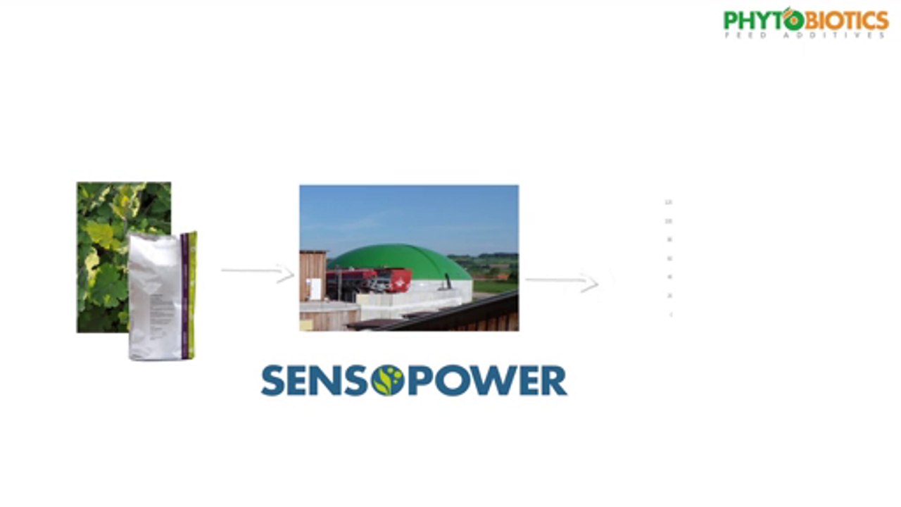 SensoPower Biogasadditive – Hightech aus der Natur