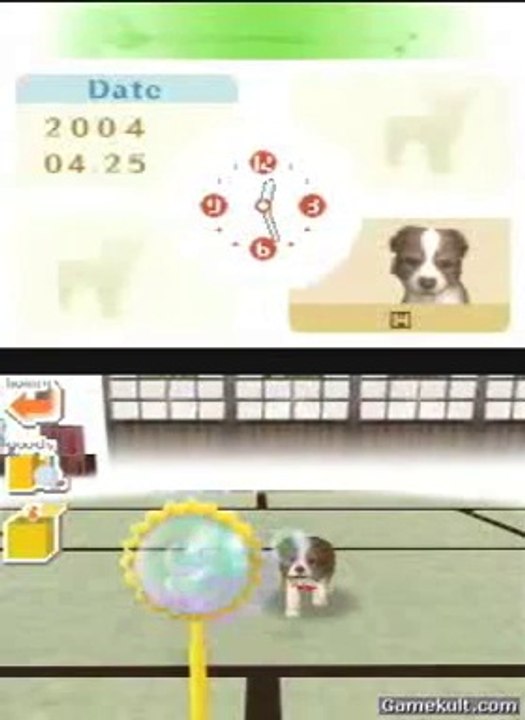 Nintendogs : Chihuahua & ses amis - A boire