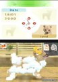 Nintendogs : Chihuahua & ses amis - Un peu de divertissement