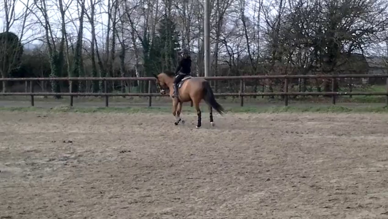 UN DE FOLIE 08012014_01