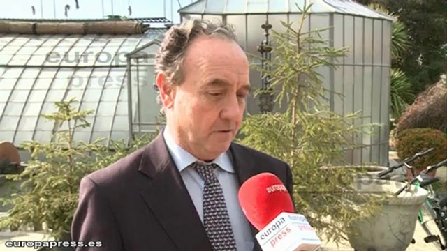 Madrid recoge los abetos usados como árbol de Navidad