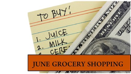 06.04.13 (Monthly Grocery Shopping for June)