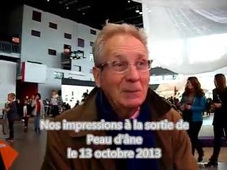 Peau d'âne - Impressions des spectateurs