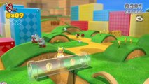 Super Mario 3D World - Super Mario 3D World - Carnet de développeur E3