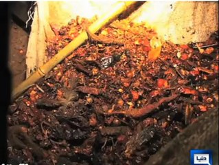 Milawat Ki Saza China Mein Aur Pakistan Mein