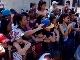 Рио: животных охлаждают мороженым