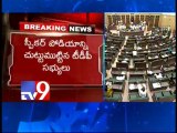 Sonia divides A.P to make son Rahul PM - TDP in assembly