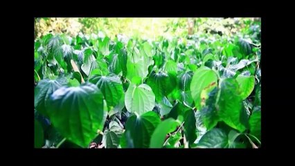 Afronight du 080114 Ramatoulay DJ et Le magnific