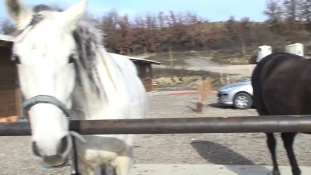 Entrainement voltige janvier 2014