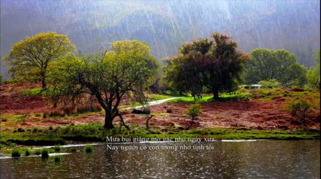 Những Ca Khúc Về Mưa Hay Nhất Nhạc vàng Trữ Tình