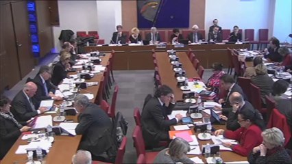 M Issindou - CAS 08012014 - Audition de Daniel Lenoir, Directeur Général de la CNAF