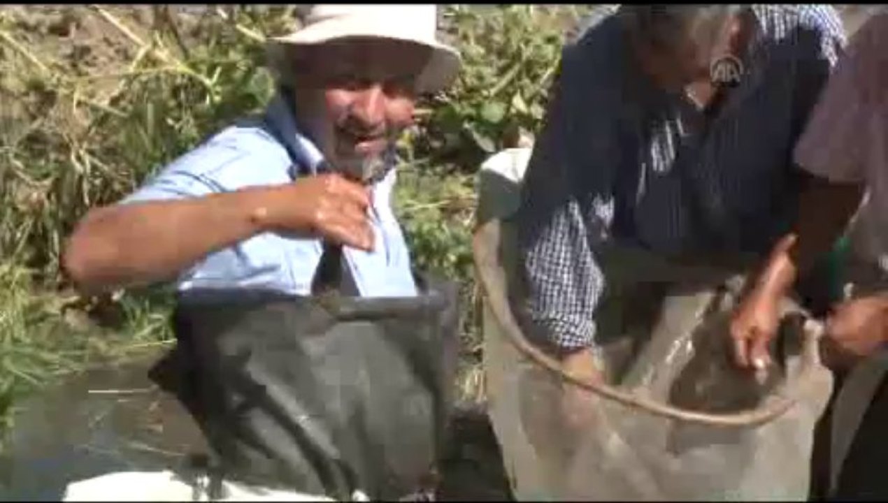 Kuraklık onları da vurdu