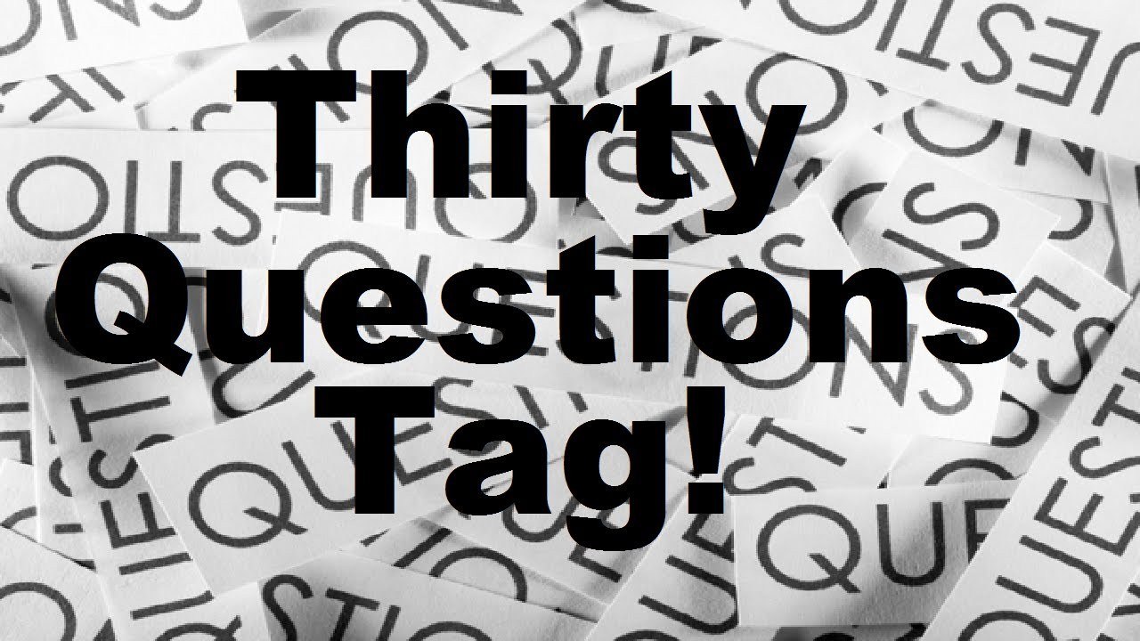 04.02.13 (30 Questions Tag)