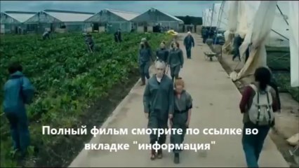 Как я теперь люблю