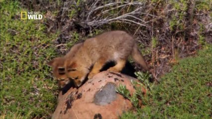 Le parc national "Torres del Paine"