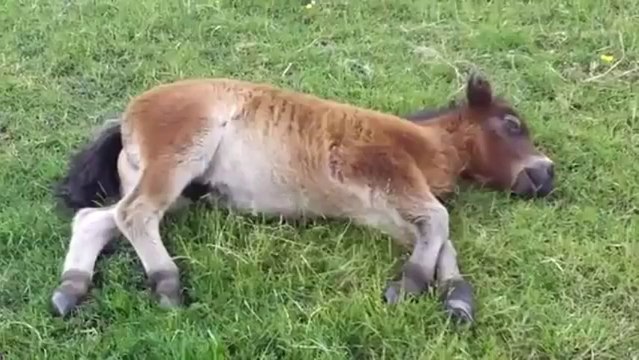 Строгий Пацан 2014 - Видео 2014