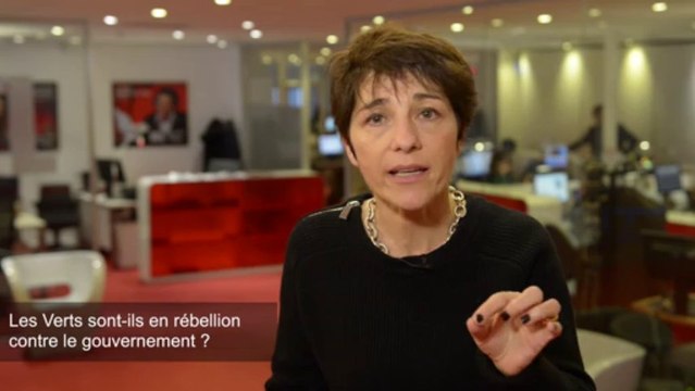 Municipales : Le couple Verts-PS est instable et bat de l'aile