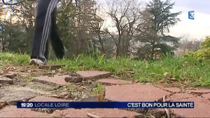 France 3 Loire - jeudi 9 janvier 2014