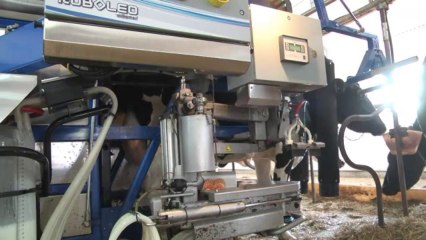 Lancement de la série "la voie agricole"